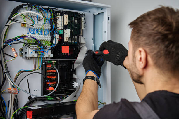 Licensed Electrical Panel Upgrade service in Webberville, MI - No Joke electrician